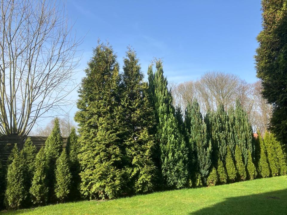 Thumbnail-Datteln stadtnah