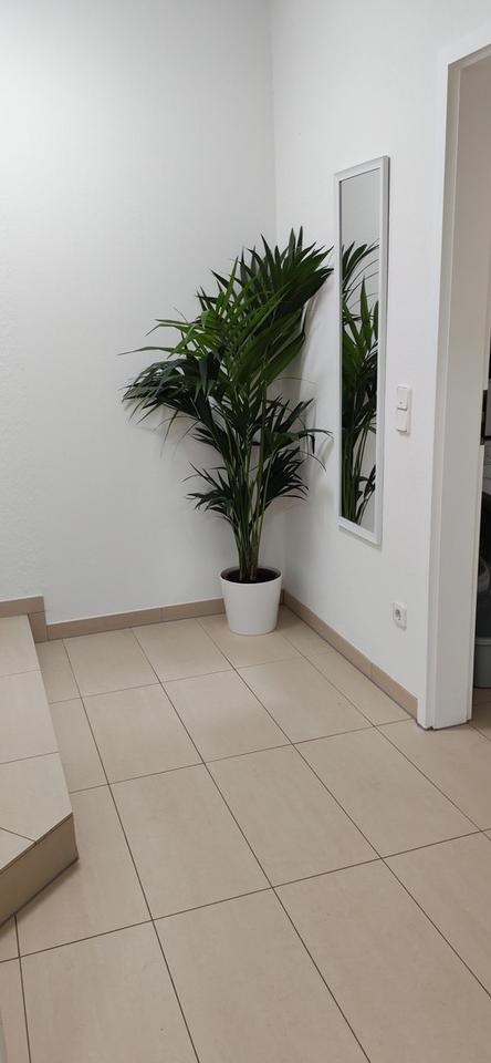 Thumbnail-Gepflegte 2-Zimmer Erdgeschosswohnung mit Terrasse in Odenthal
