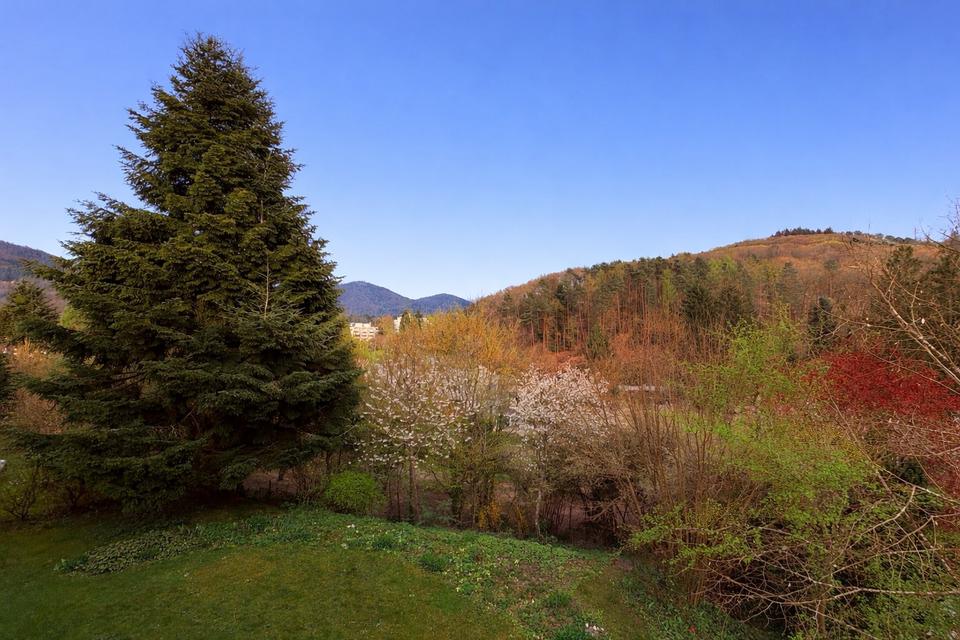 Thumbnail-Helle 3-Zimmer Wohnung im 1.OG - Naturnah & zentral