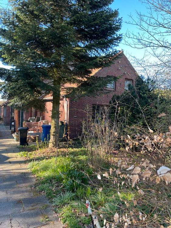 Thumbnail-Resthof mit eigenem Wald in Alleinlage unweit der Nordseeküste