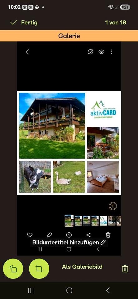 Thumbnail-Ferienwohnung Goldfasan