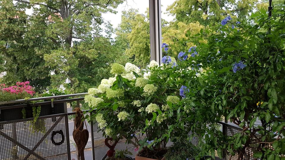 Thumbnail-Eigentumswhg. 2 Zi Balkon Aufzug ohne Makler Glienicker Brücke