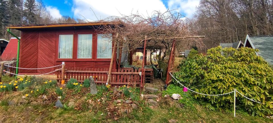 Thumbnail-Kleingarten in Krummhermsdorf bei Sebnitz abzugeben