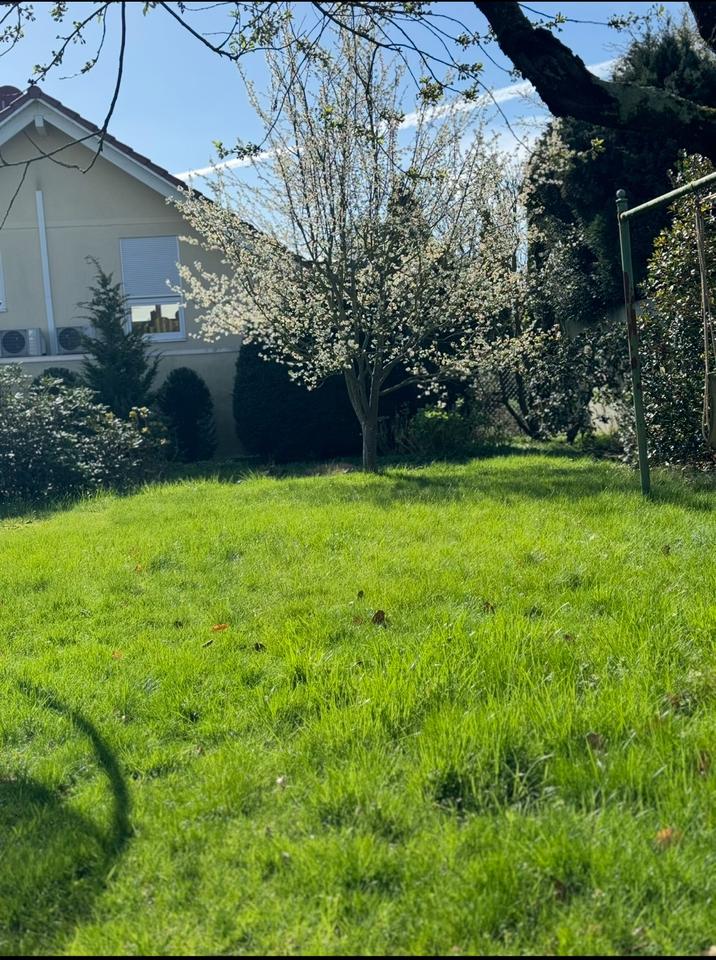 Thumbnail-Haus zur Miete 4 Zi. Bergheim stadtzentral mit großem Garten