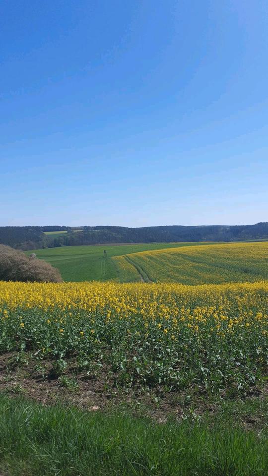 Thumbnail-Bauernhaus