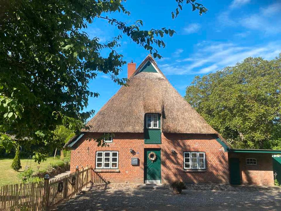 Thumbnail-Reetdachhaus an der Ostsee