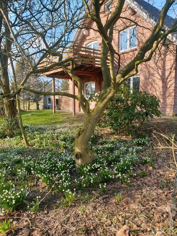 Thumbnail-Mietwohnung