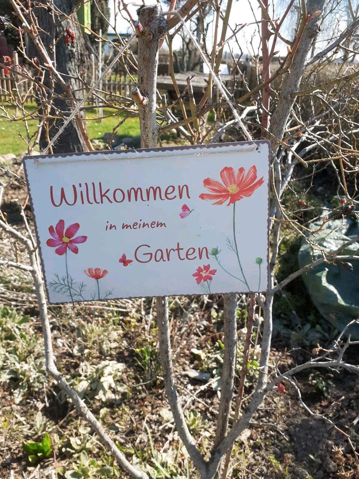 Thumbnail-Pachtgarten Leipzig Portitz 630m²