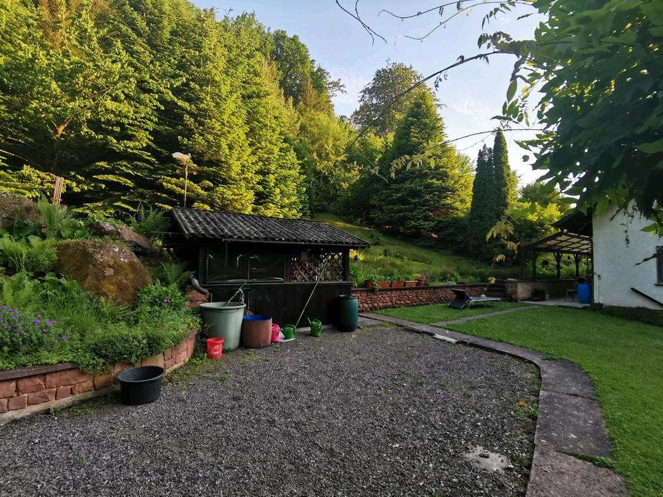 Thumbnail-Wohnung in 76848 Darstein zu vermieten