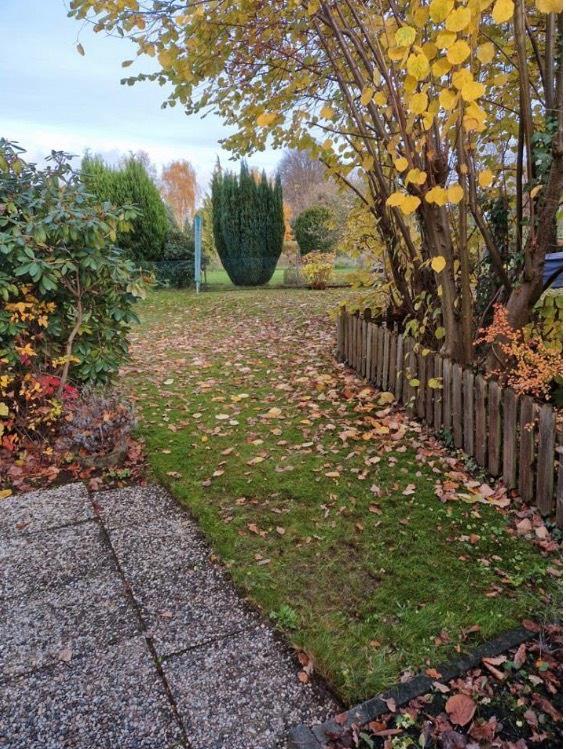 Thumbnail-Attraktive 4,5 Zimmer Wohnung mit Garten