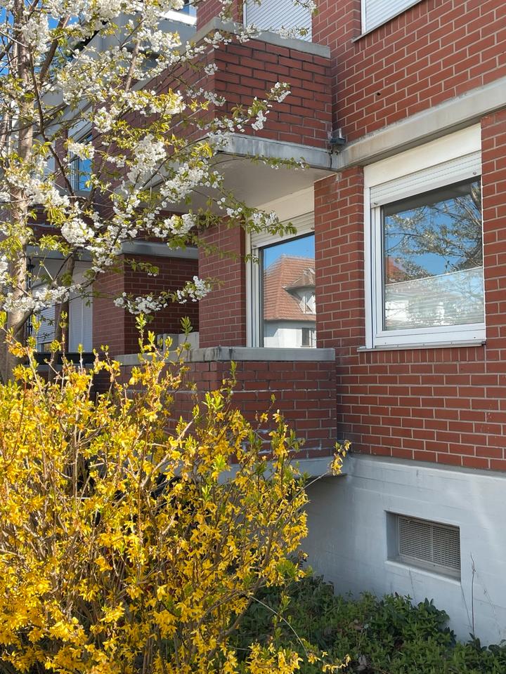 Thumbnail-Heidelberg, möbliertes Einzimmerapartment