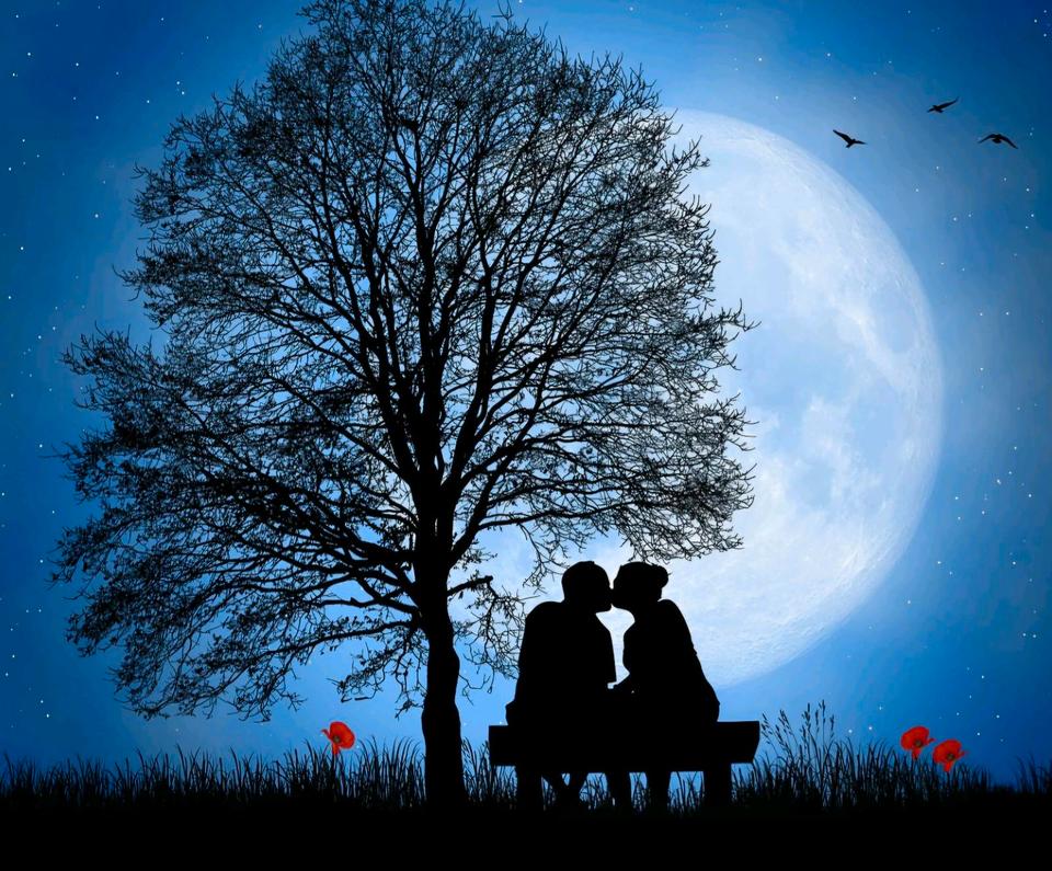 Thumbnail-ROMANTIK-SPECIAL für Zwei ❤️ Paarurlaub Ferienwohnung Limburg