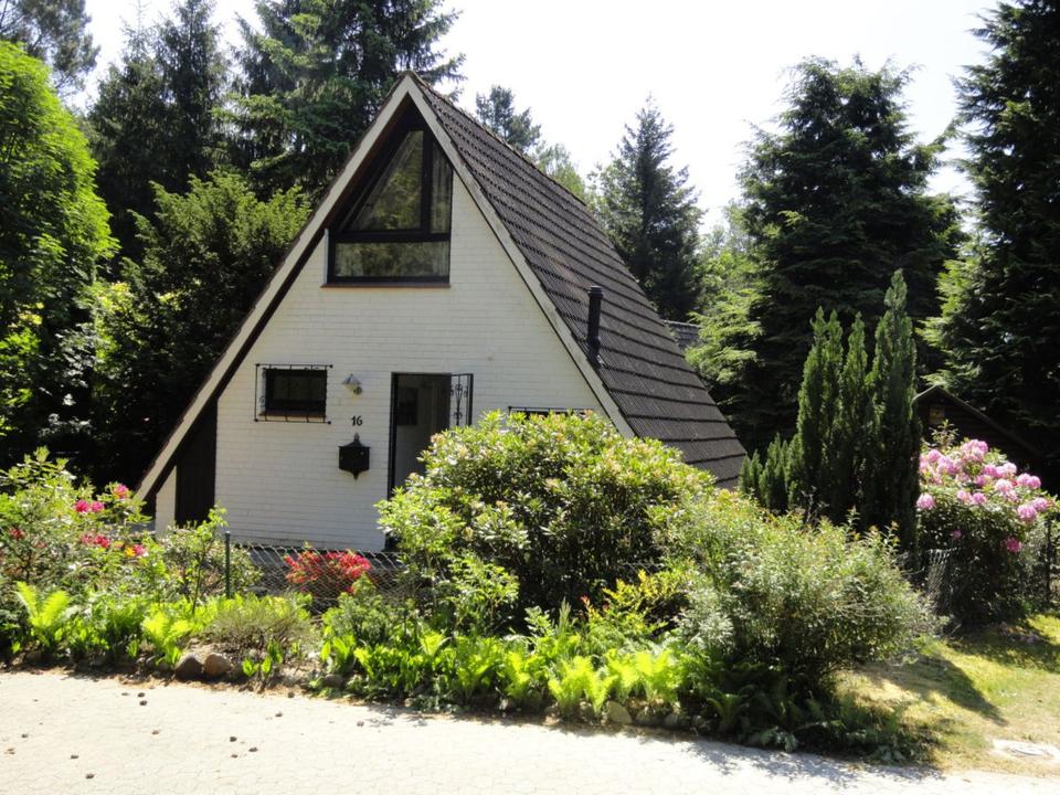 Thumbnail-Weihnachten in der Lüneburger Heide, Ferienhaus, Hund möglich
