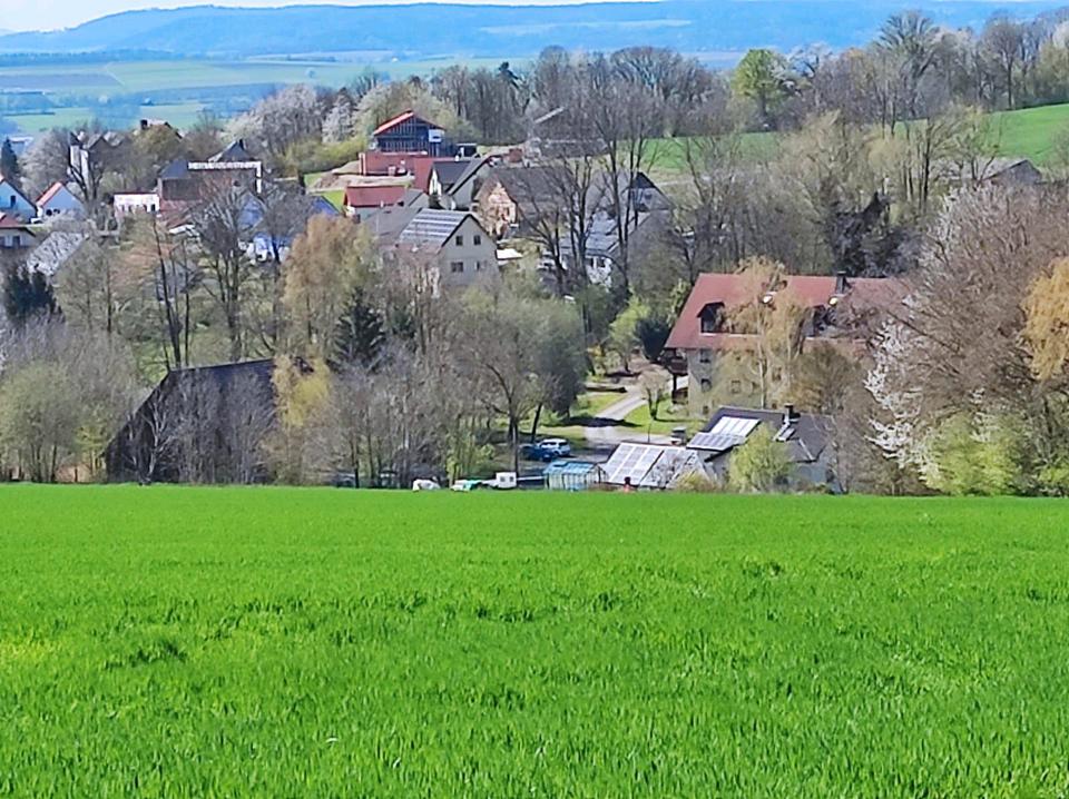 Thumbnail-Schönes 1-Zimmer-Apartment mit Balkon, teilmöbliert zu vermieten