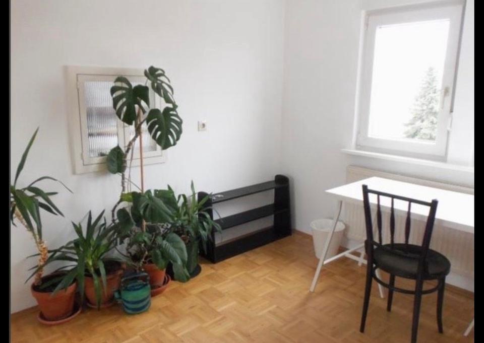 Thumbnail-Charmantes Zimmer in zentraler 3er-Frauen-WG (Darmstadt)