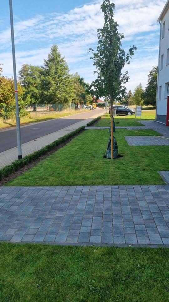 Thumbnail-Helle 2-Raum-Wohnung mit Blick ins Grüne im Zentrum von Irxleben