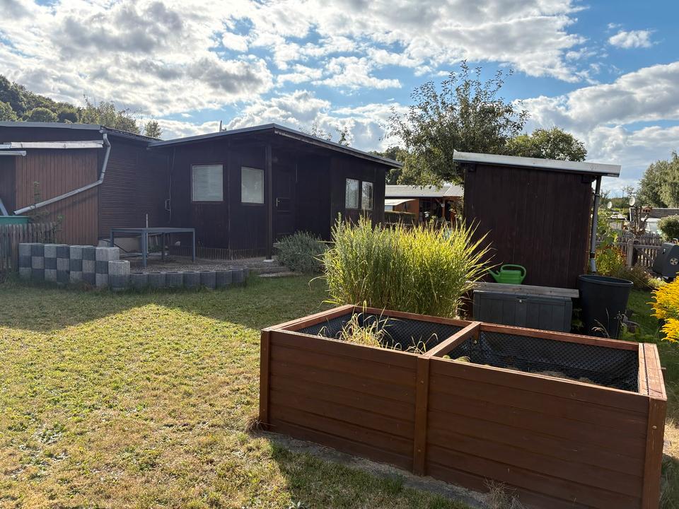 Thumbnail-Pachtgarten in Plauen • bei Kauf bis 31.01.26 Sonderpreis 1.100€