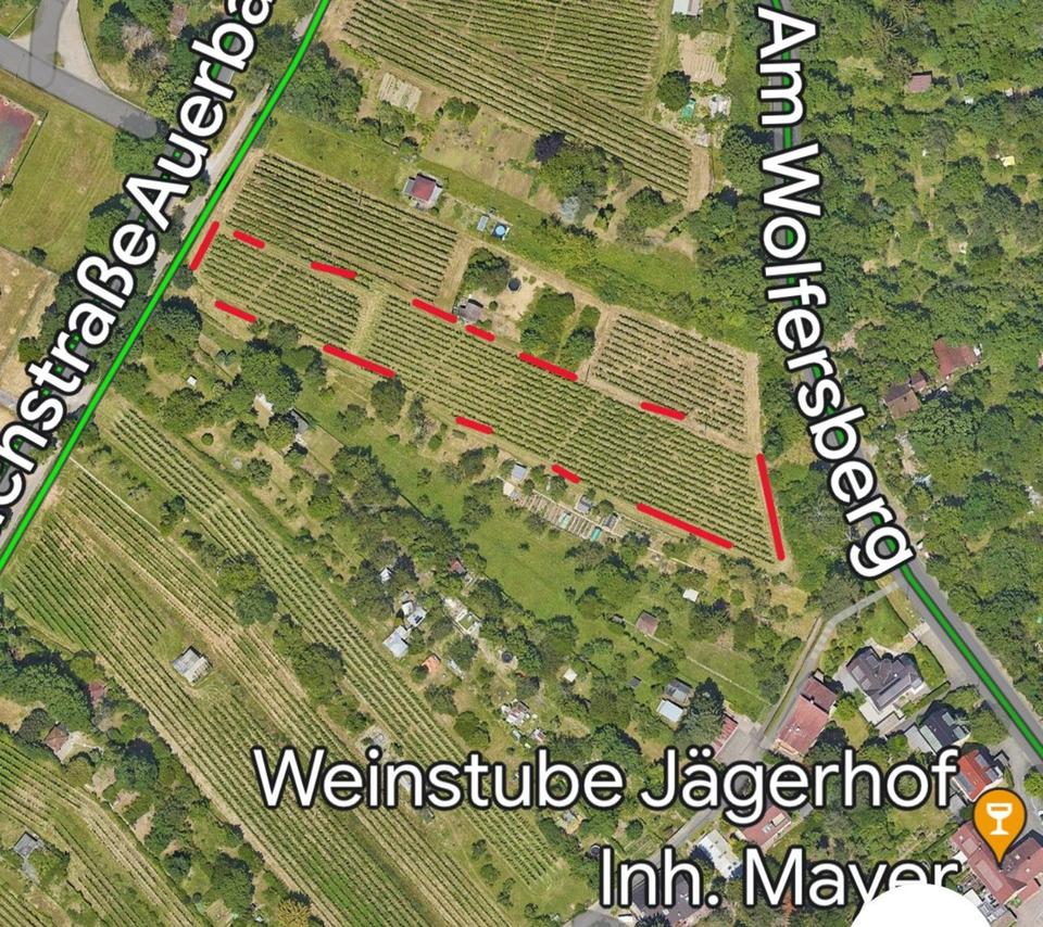 Thumbnail-Gartengrundstück Garten zu verpachten - groß, tolle Lage