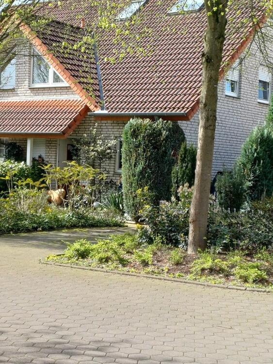 Thumbnail-Privater Verkauf ohne Provision