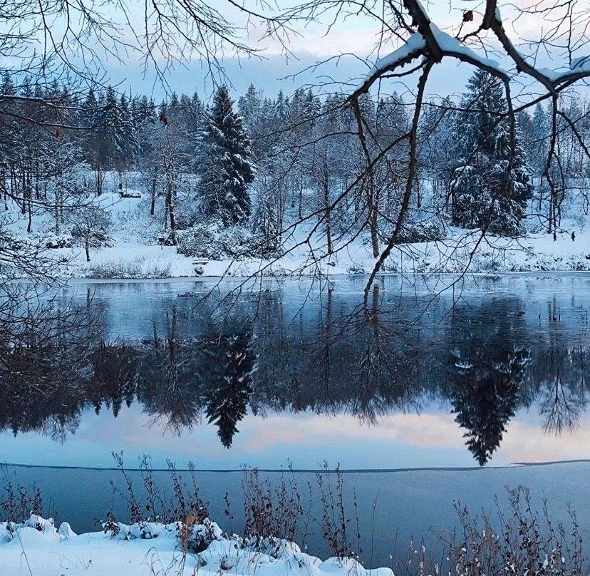 Thumbnail-Apartment für Max. 4 Personen in Hahnenklee