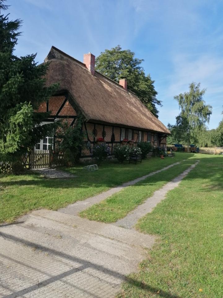 Thumbnail-Ostsee-Urlaub, auf zu Störtebeker