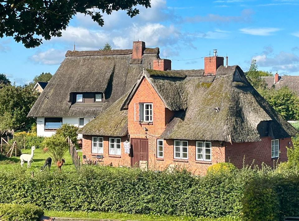 Thumbnail-Charmantes Ferienhaus Nähe Eutin u HaffkrugOstsee