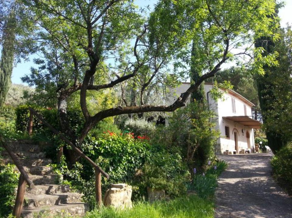 Thumbnail-Toskana Ferienhaus mit Meerblick im Olivenhain