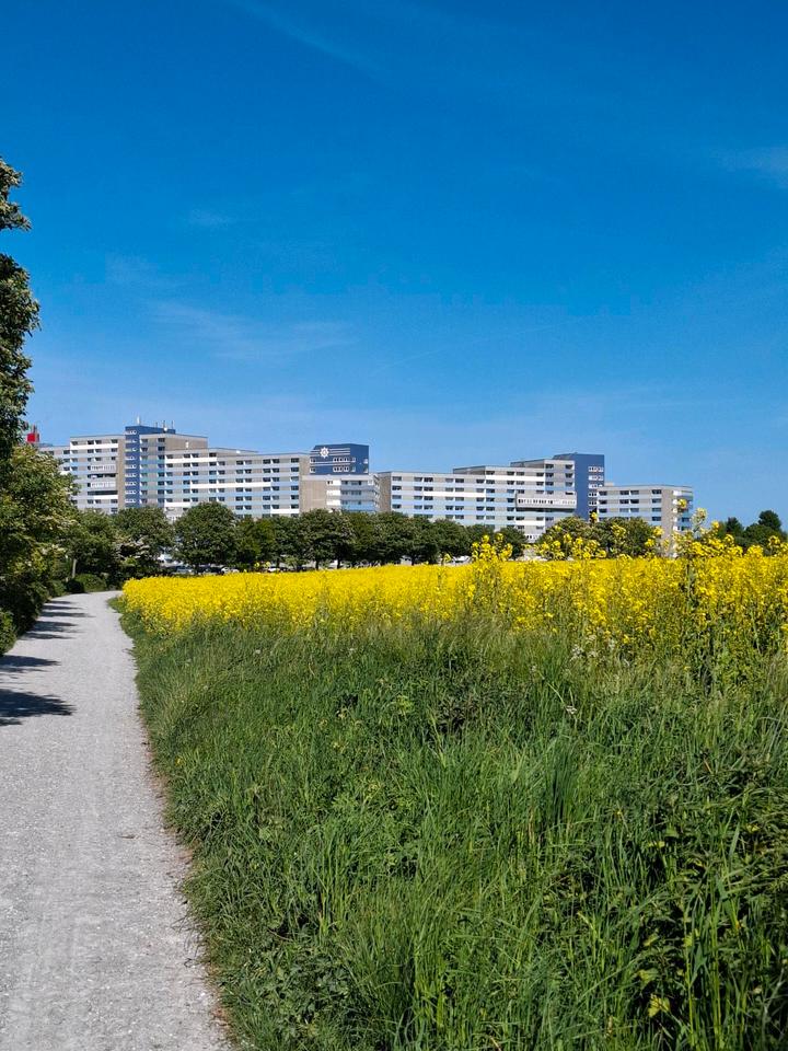 Thumbnail-Ferienwohnung ImFerienpark