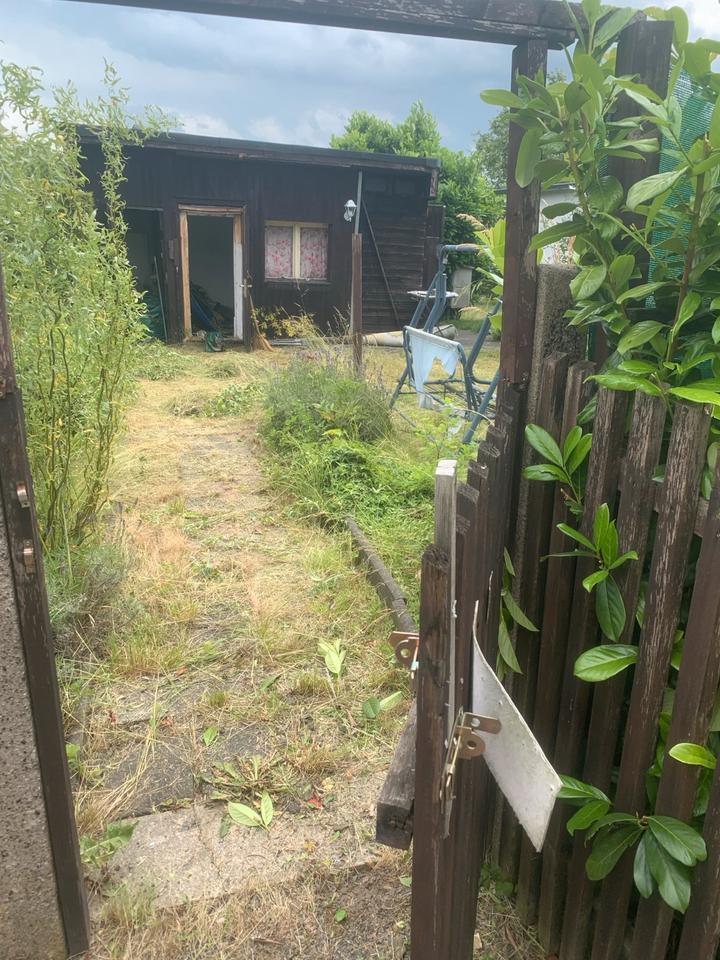 Thumbnail-Kleingarten abzugeben taucha 144m2