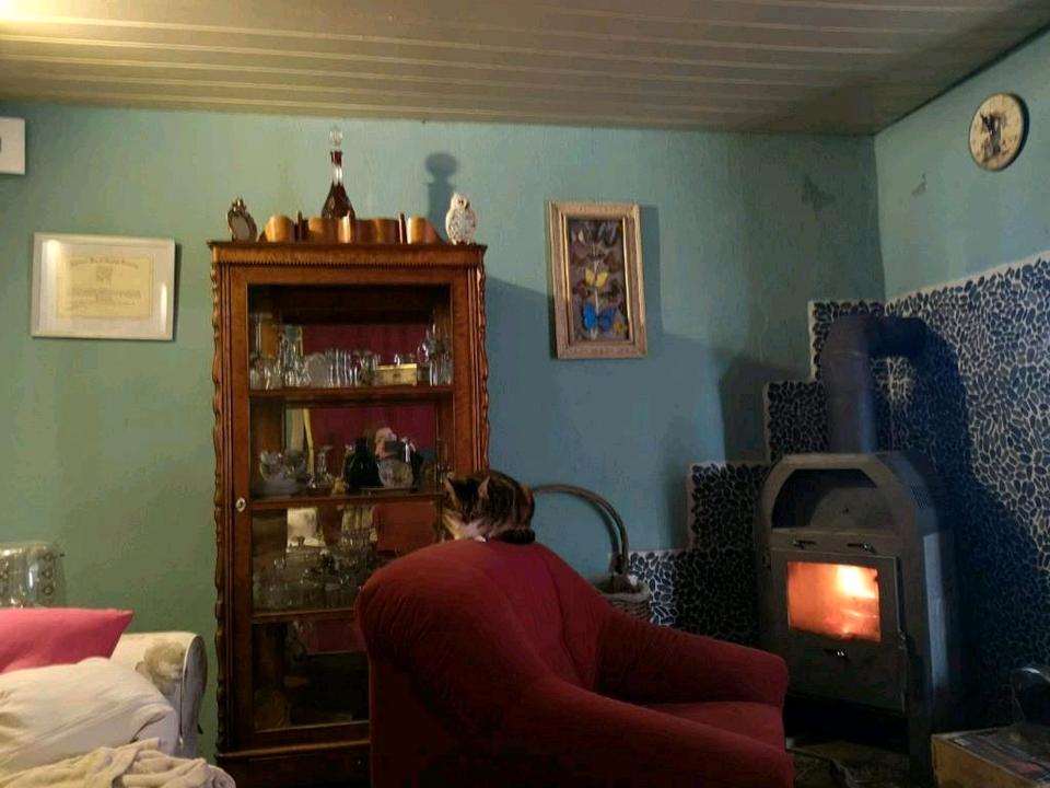 Thumbnail-Kleines Einfamilienhaus ein Traum für Hundehalter