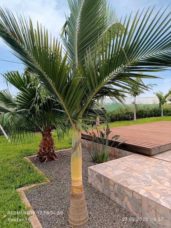 Thumbnail-Bungalow-Juwel in Paraguay: zentral, ruhig & sofort bezugsfertig!