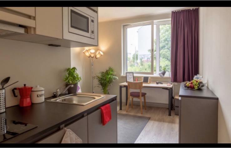 Thumbnail-Singelwohnung, 1-2 Zimmerwohnungen Erstbezug nach Modernisierung
