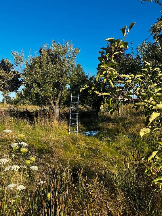 Thumbnail-Tolles rustikales Haus mit ganz viel Charme und 2 ha Weideland