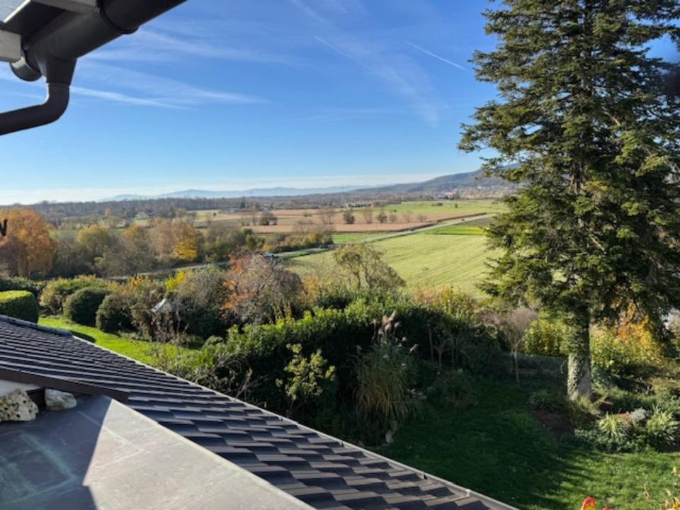 Thumbnail-Ruhig gelegenes 1,5 Zi. Apartement mit Aussicht