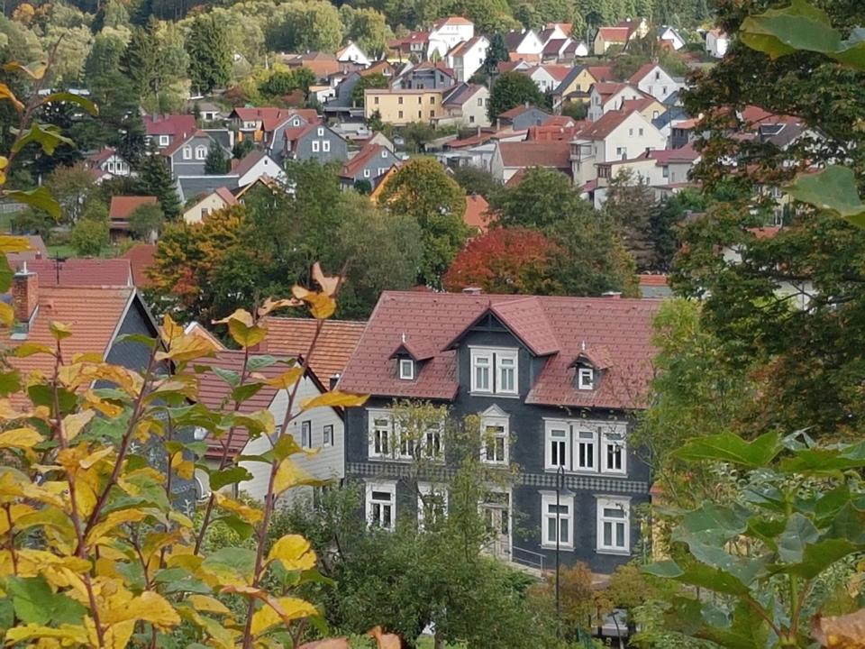 Thumbnail-2 Zimmer-Whg. in MartinrodaIlmenau mit Dachterrasse
