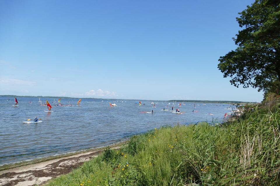 Thumbnail-Ferienhaus Ferienwohnung Ostsee am Salzhaff in Pepelow Rerik