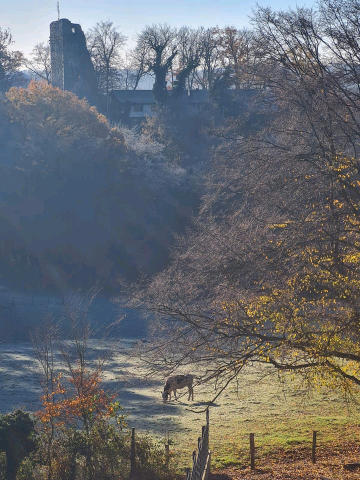Thumbnail-Ferienwohnung mit Blick in die Natur!