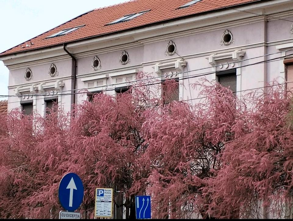 Thumbnail-82mp 2 Zimmer Wohnung komplett saniert +18mp Garage in Temeswar