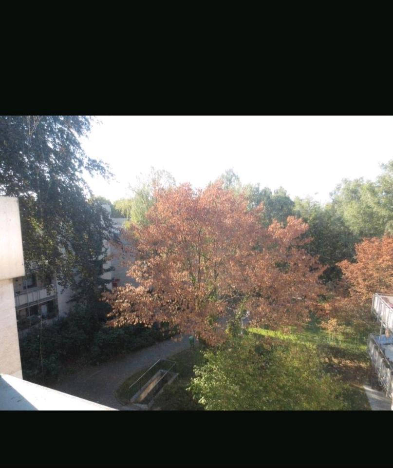 Thumbnail-4,5 Zimmer Eigentumswohnung mit TG Stellplatz