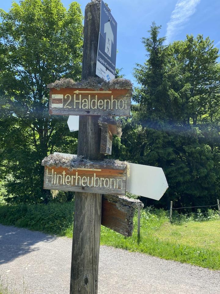 Thumbnail-Lukratives Anlageobjekt: Hotel und Berggasthof „Haldenhof“ in 79692 Kleines Wiesental