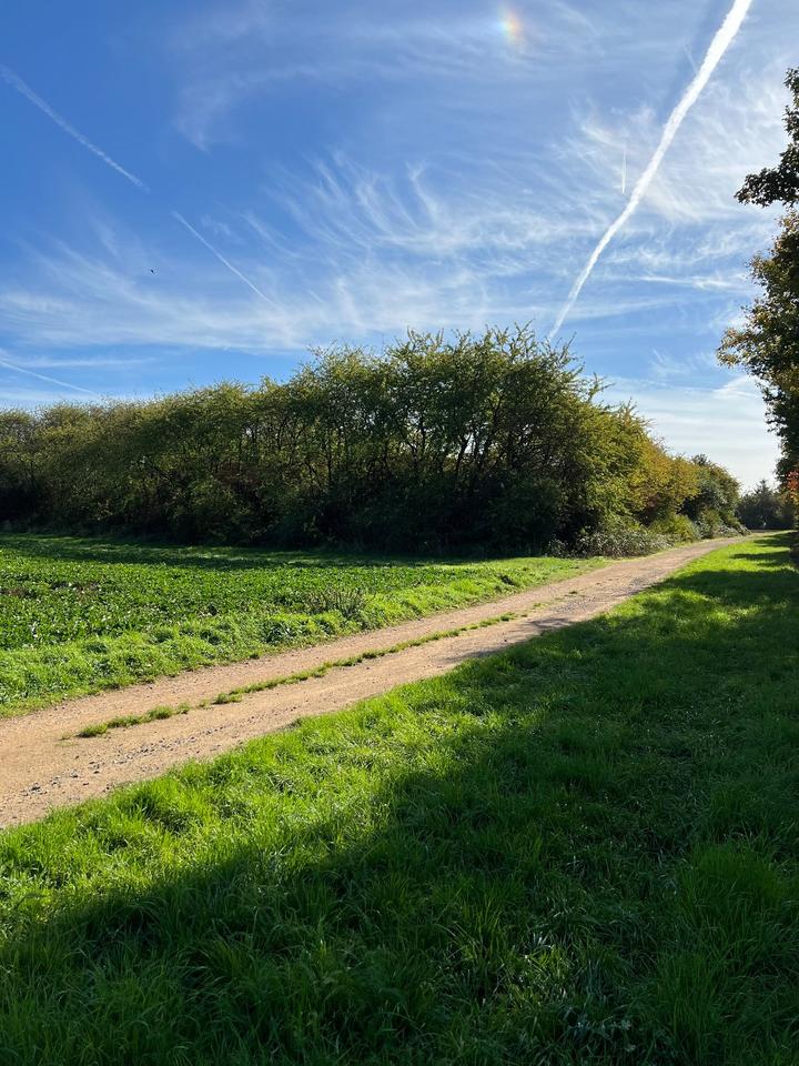 Thumbnail-Riesiges Freizeitgrundstück in FFM-Preungesheim zu verpachten