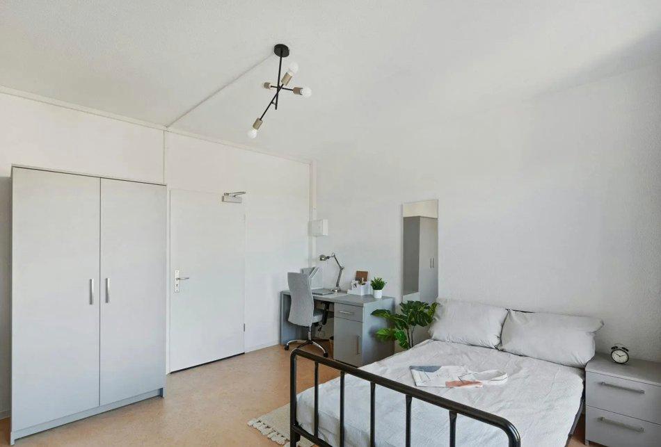 Thumbnail-1-Zimmer-Apartment in Dresden Johannstadt-Süd – voll möbliert