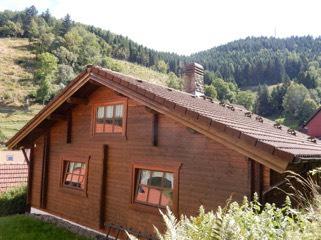 Thumbnail-Ferienblockhaus im Harz auf 800 m2 Eigentumsgrundstück