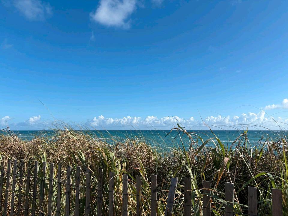 Thumbnail-Zimmer zu vermieten in einer 4 Zimmer Wohnung in Schwabing
