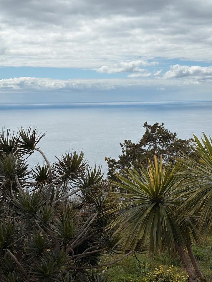 Thumbnail-Tolles Haus mit Meerblick auf Madeira zu vermieten
