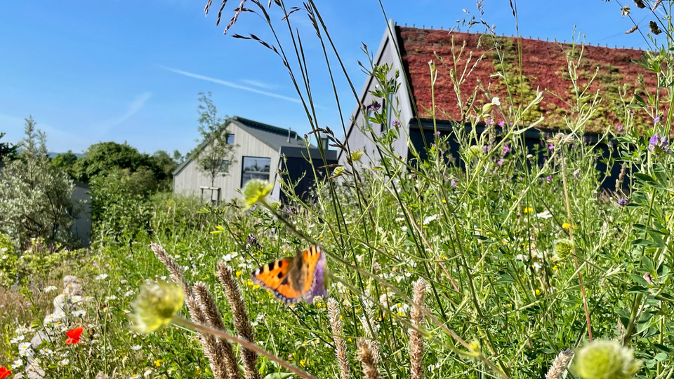Thumbnail-Wohnprojekt am Meer: Haus mit 810 qm Grundstück am Ostsee-Strand