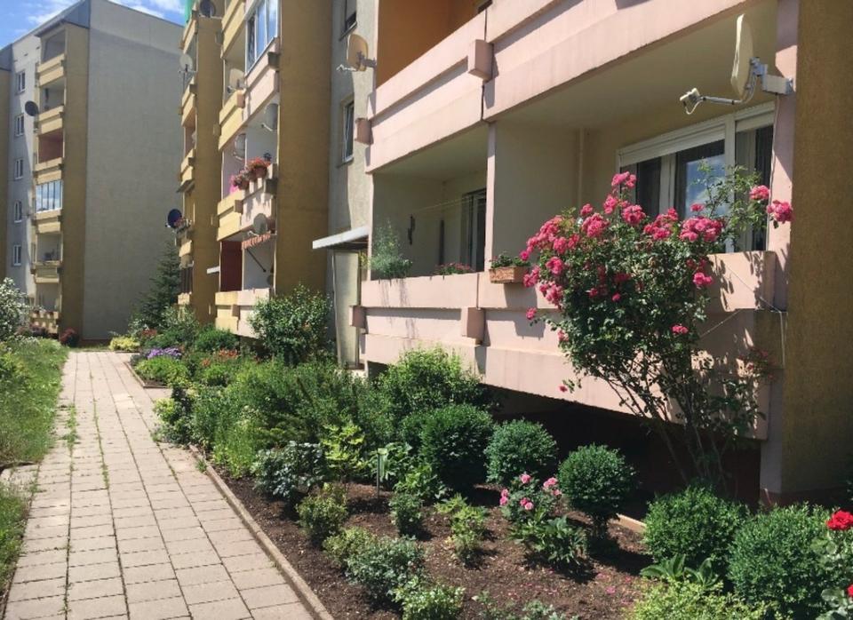 Thumbnail-Sehr schöne 1 Raumwohnung Parterre Artern zu vermieten.