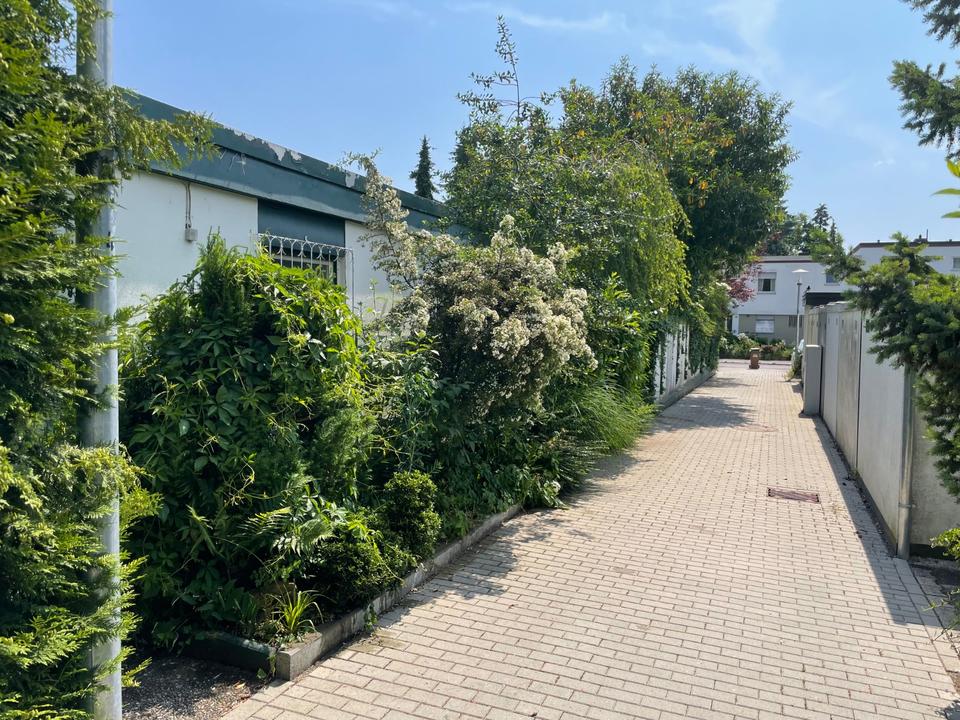 Thumbnail-Einfamilienhaus mit grossem Grundstück mit Ausbaupotential