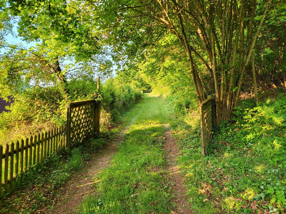 Thumbnail-Natur pur: Wohngebäude, Bauplatz, 5ha Wald im Saarland- Beckingen