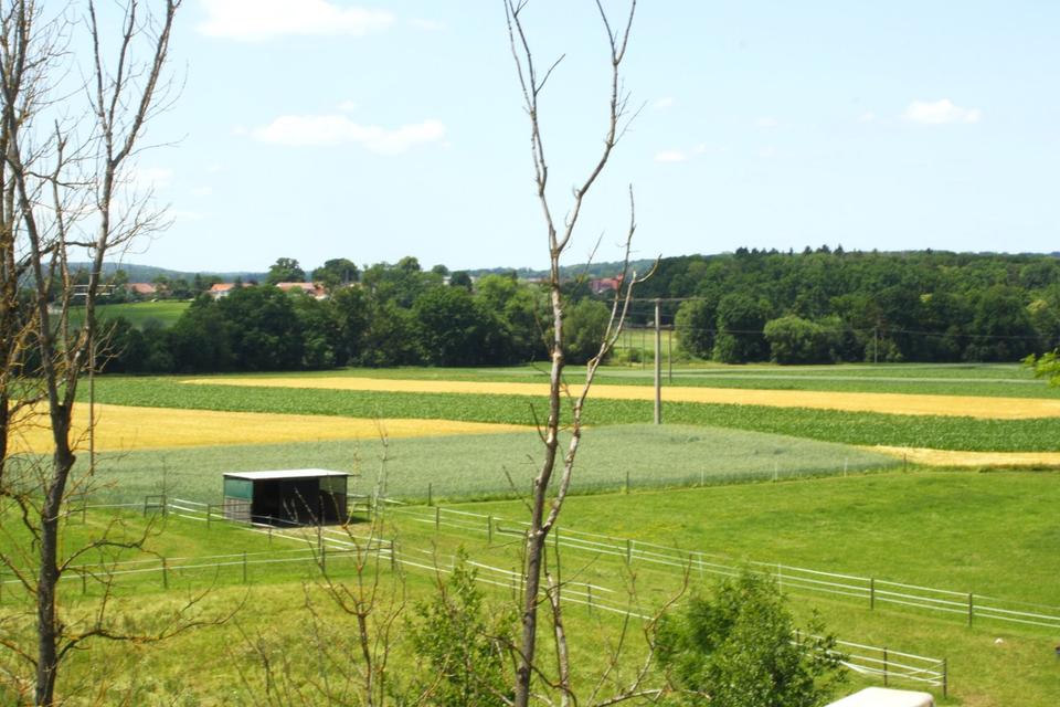Thumbnail-1,5 Zimmer Wohnung Gomaringen, nahe Tübingen mit Balkon